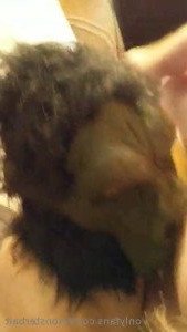 𝕸𝖔𝖓𝖘𝖙𝖊𝖗𝖇𝖆𝖎𝖙 [ monsterbait ] Onlyfans leaked video 3004248 on Hotleaks.tv