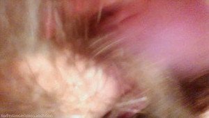 𝕸𝖔𝖓𝖘𝖙𝖊𝖗𝖇𝖆𝖎𝖙 [ monsterbait ] Onlyfans leaked video 3004400 on Hotleaks.tv