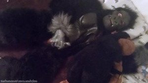 𝕸𝖔𝖓𝖘𝖙𝖊𝖗𝖇𝖆𝖎𝖙 [ monsterbait ] Onlyfans leaked video 3004582 on Hotleaks.tv