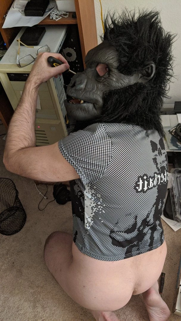 𝕸𝖔𝖓𝖘𝖙𝖊𝖗𝖇𝖆𝖎𝖙 [ monsterbait ] Onlyfans leaked photo 3708783 on Hotleaks.tv