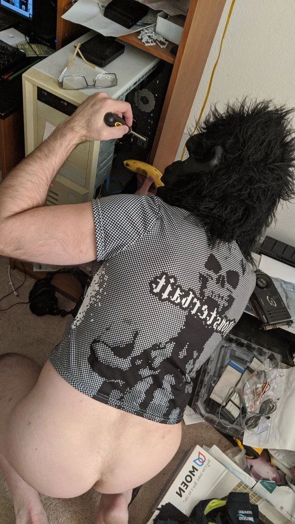 𝕸𝖔𝖓𝖘𝖙𝖊𝖗𝖇𝖆𝖎𝖙 [ monsterbait ] Onlyfans leaked photo 3729970 on Hotleaks.tv