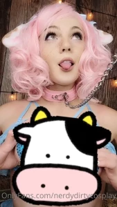 14662584