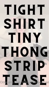 13253920