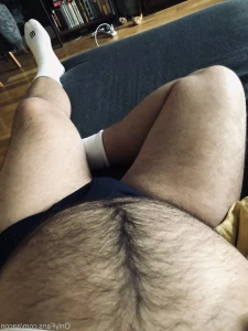 3621741