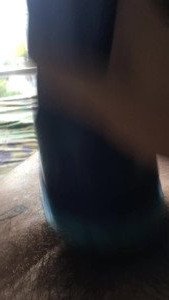 2505629