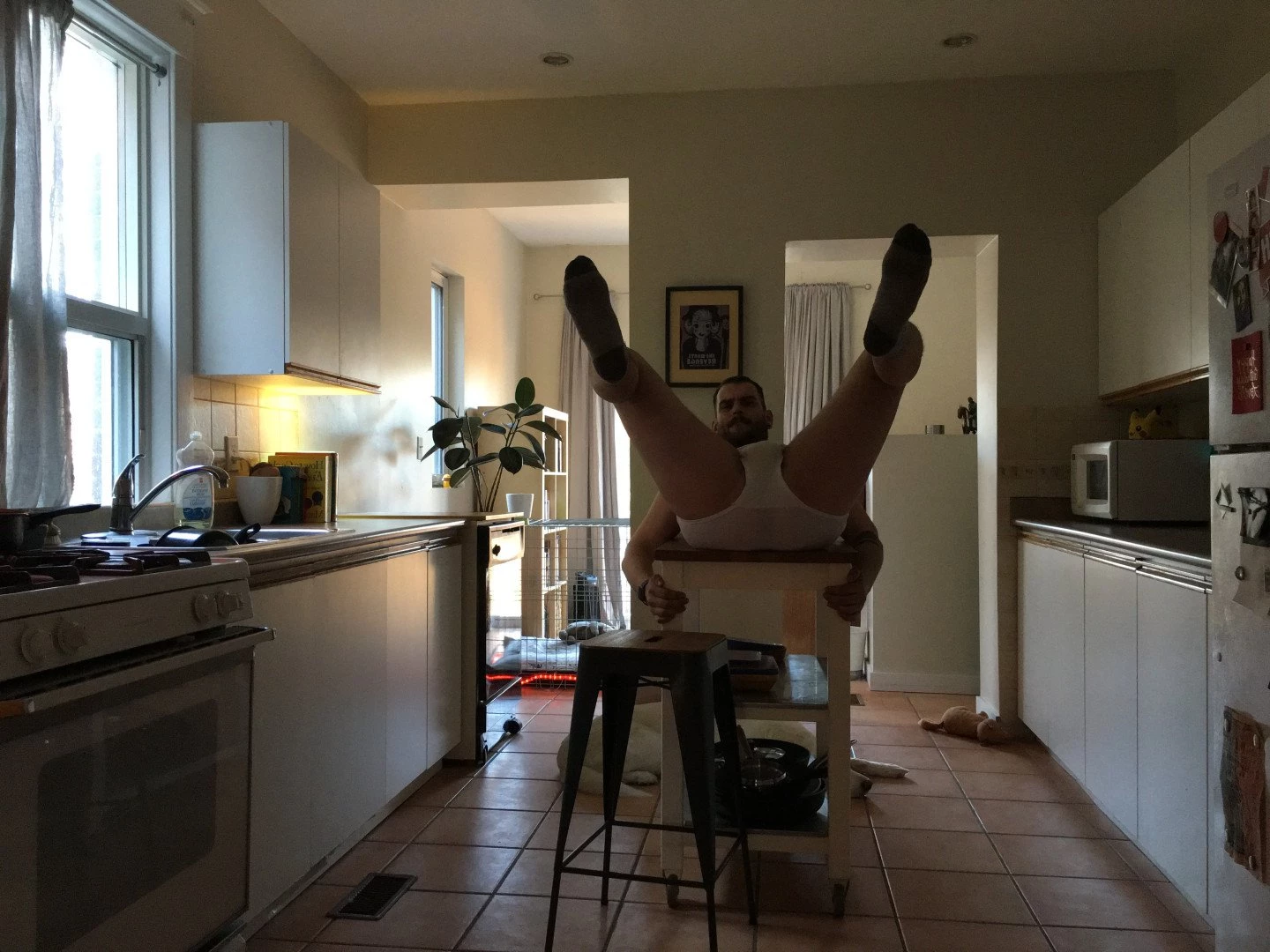 abeardedboy Onlyfans leaked photo 3901803 on Hotleaks.tv