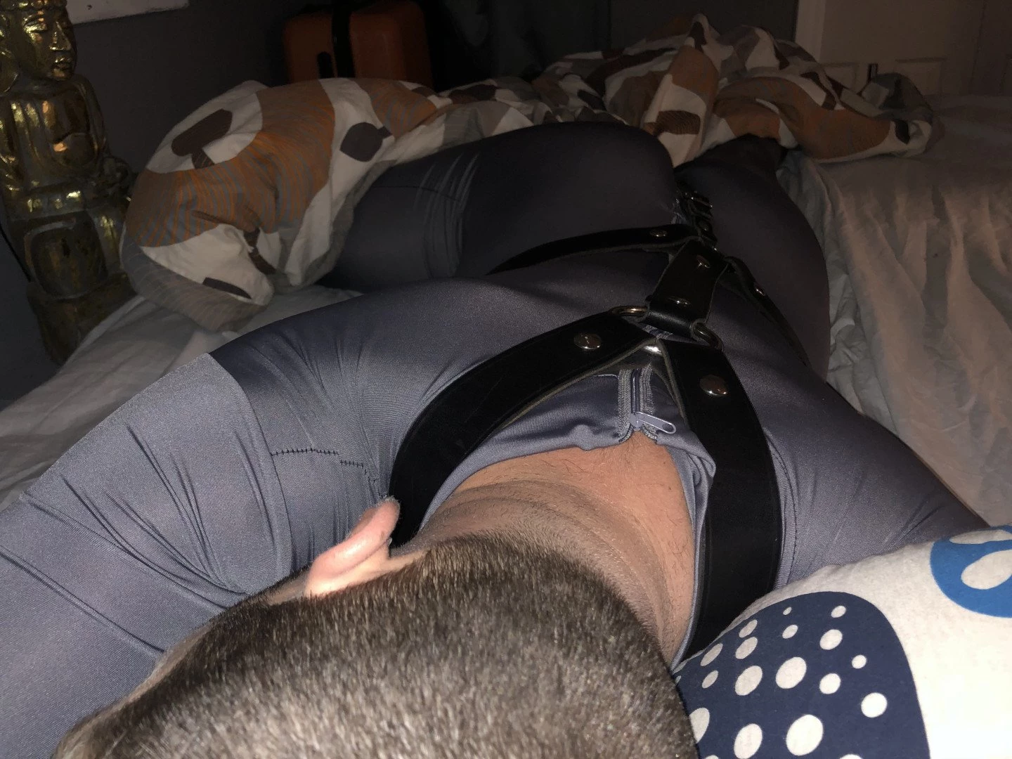 abeardedboy Onlyfans leaked photo 3907736 on Hotleaks.tv