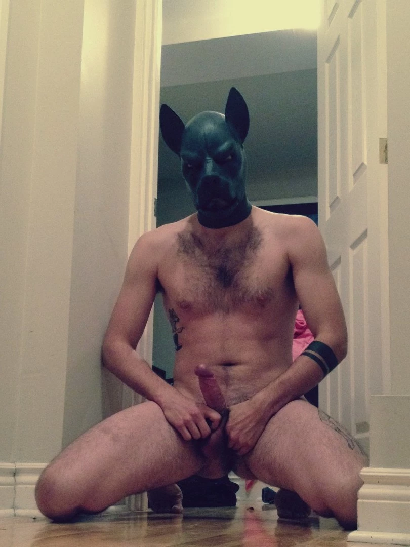 abeardedboy Onlyfans leaked photo 3933268 on Hotleaks.tv