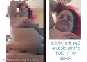 16420267