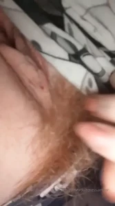 16419217