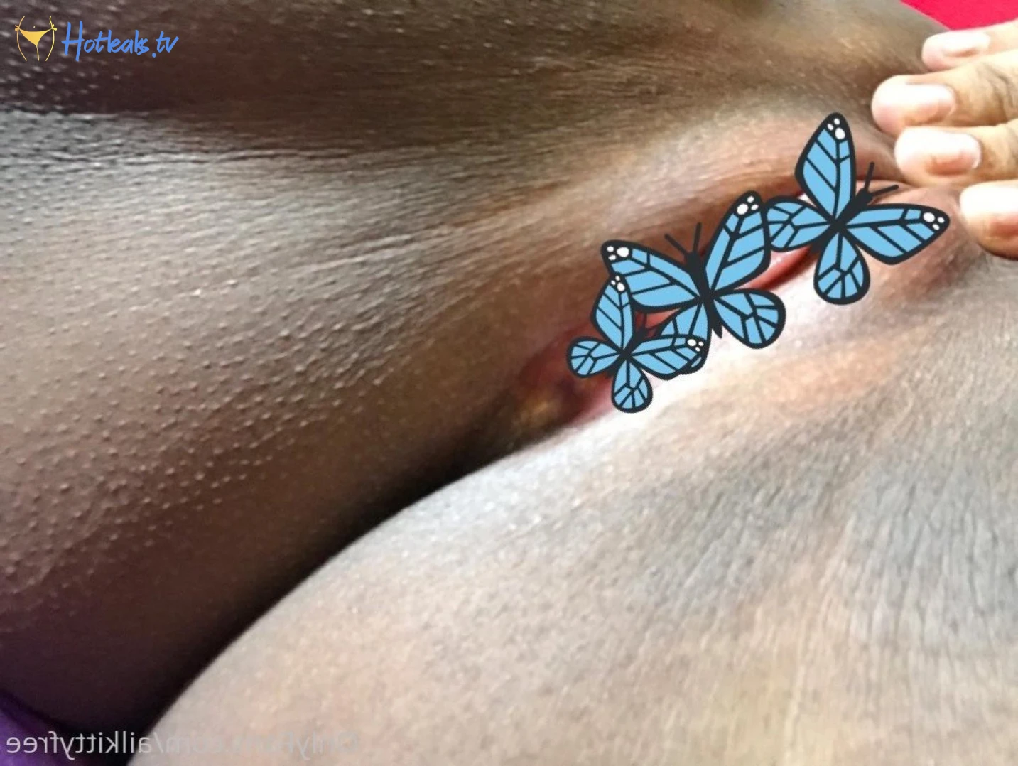 ♡ BIG TITTY PRINCESS LÍA ♡ [ ailkittyyy ] Onlyfans leaked photo 3703778 on Hotleaks.tv