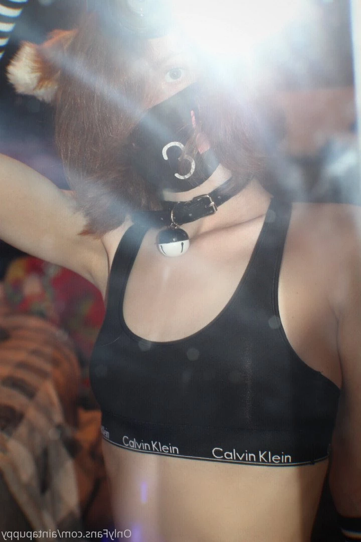DrTchock [ aintapuppy ] Onlyfans leaked photo 4682988 on Hotleaks.tv