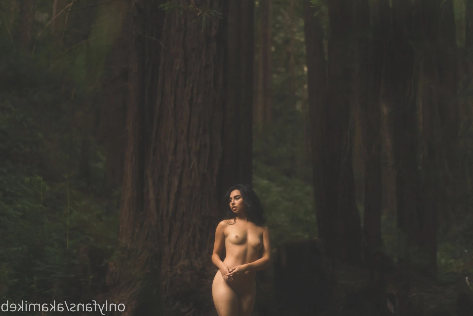 mike b photography [ akamikebphoto ] Onlyfans leaked photo 4135038 on Hotleaks.tv