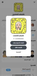 3638116