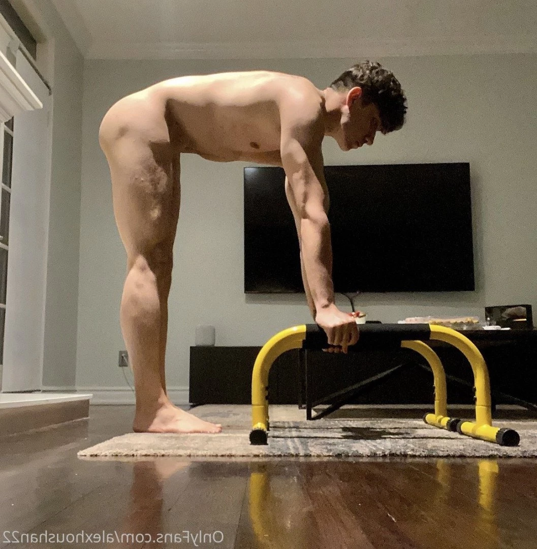 alexhoushan22 Onlyfans leaked photo 3503834 on Hotleaks.tv