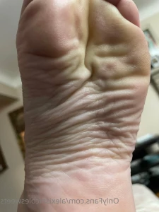 3604035