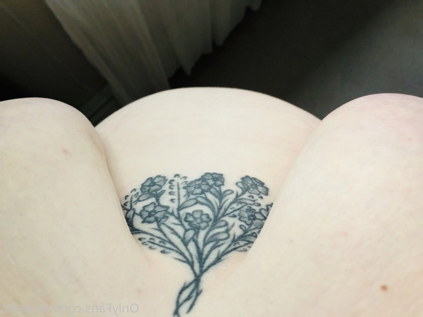aliceeats Onlyfans leaked photo 3696101 on Hotleaks.tv