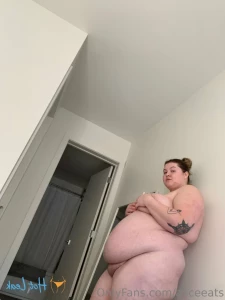 16420742