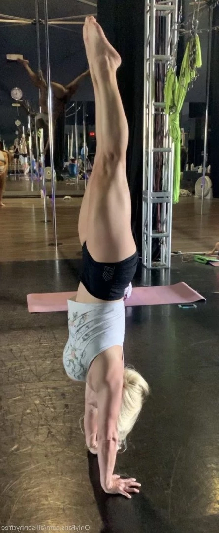 AllisonNYC [ allisonnycfree ] Onlyfans leaked photo 3802570 on Hotleaks.tv
