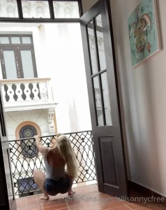 AllisonNYC [ allisonnycfree ] Onlyfans leaked video 10894753 on Hotleaks.tv