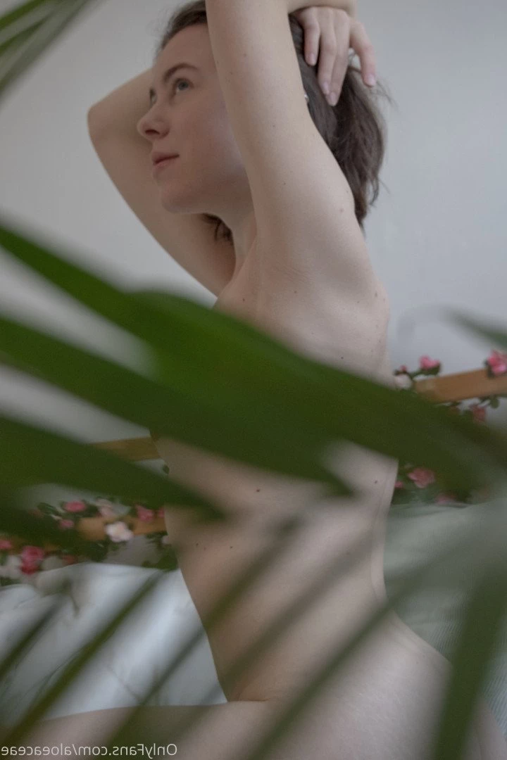 Aloe [ aloeaceae ] Onlyfans leaked photo 3615047 on Hotleaks.tv