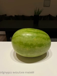 3597633