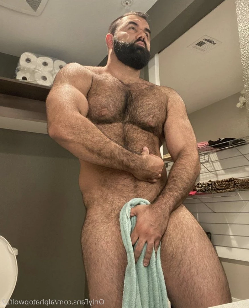 Persian Alpha Wolf [ alphatopwolf22 ] Onlyfans leaked photo 3497789 on Hotleaks.tv