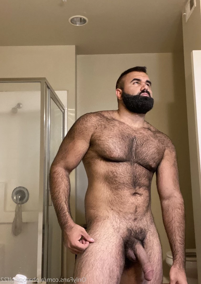 Persian Alpha Wolf [ alphatopwolf22 ] Onlyfans leaked photo 3497934 on Hotleaks.tv