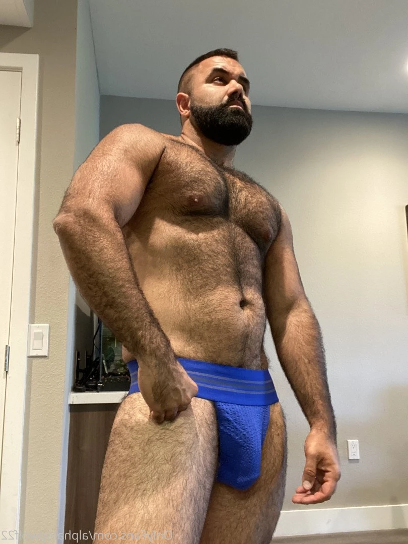 Persian Alpha Wolf [ alphatopwolf22 ] Onlyfans leaked photo 3497951 on Hotleaks.tv