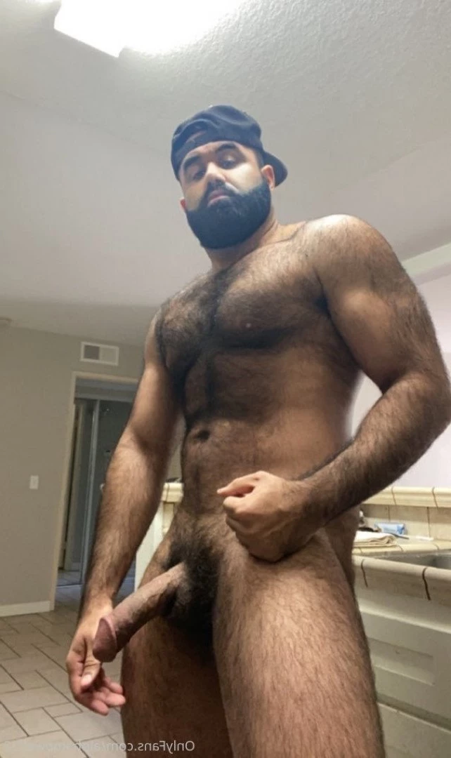 Persian Alpha Wolf [ alphatopwolf22 ] Onlyfans leaked photo 3497964 on Hotleaks.tv