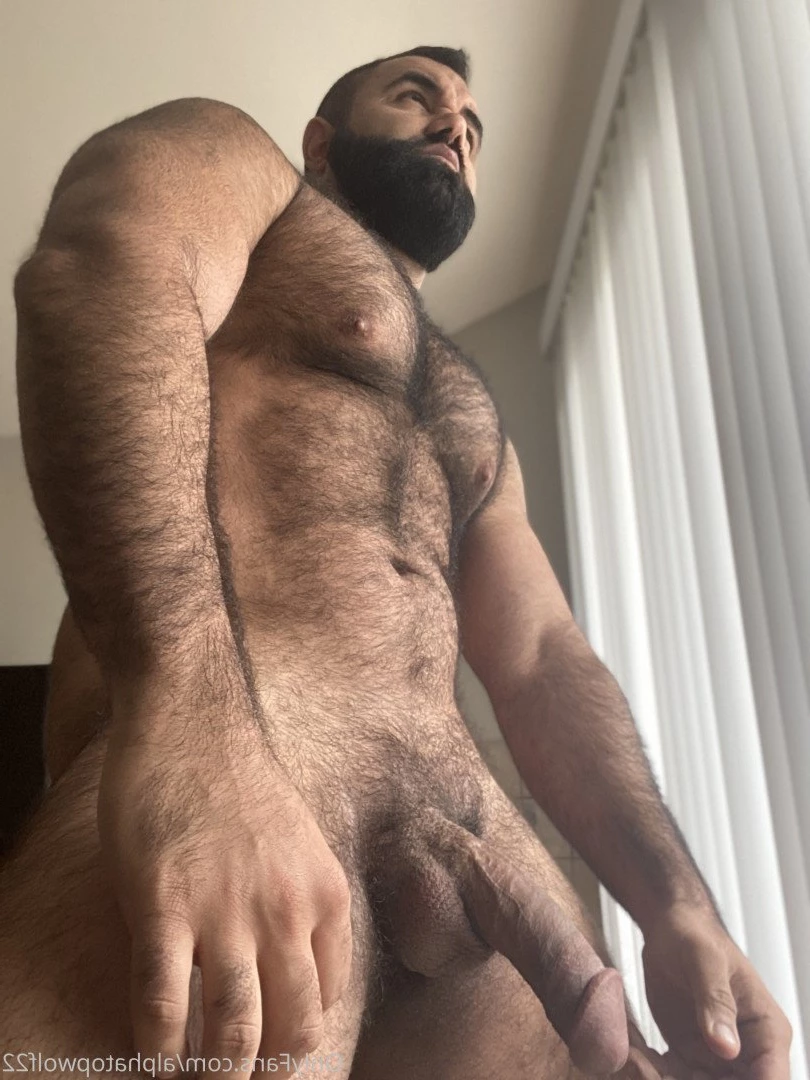 Persian Alpha Wolf [ alphatopwolf22 ] Onlyfans leaked photo 3497974 on Hotleaks.tv