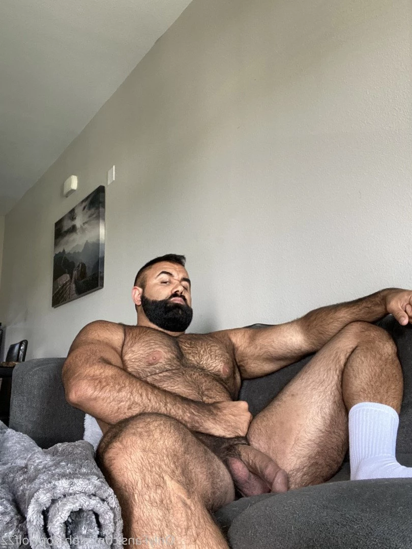 Persian Alpha Wolf [ alphatopwolf22 ] Onlyfans leaked photo 3498094 on Hotleaks.tv