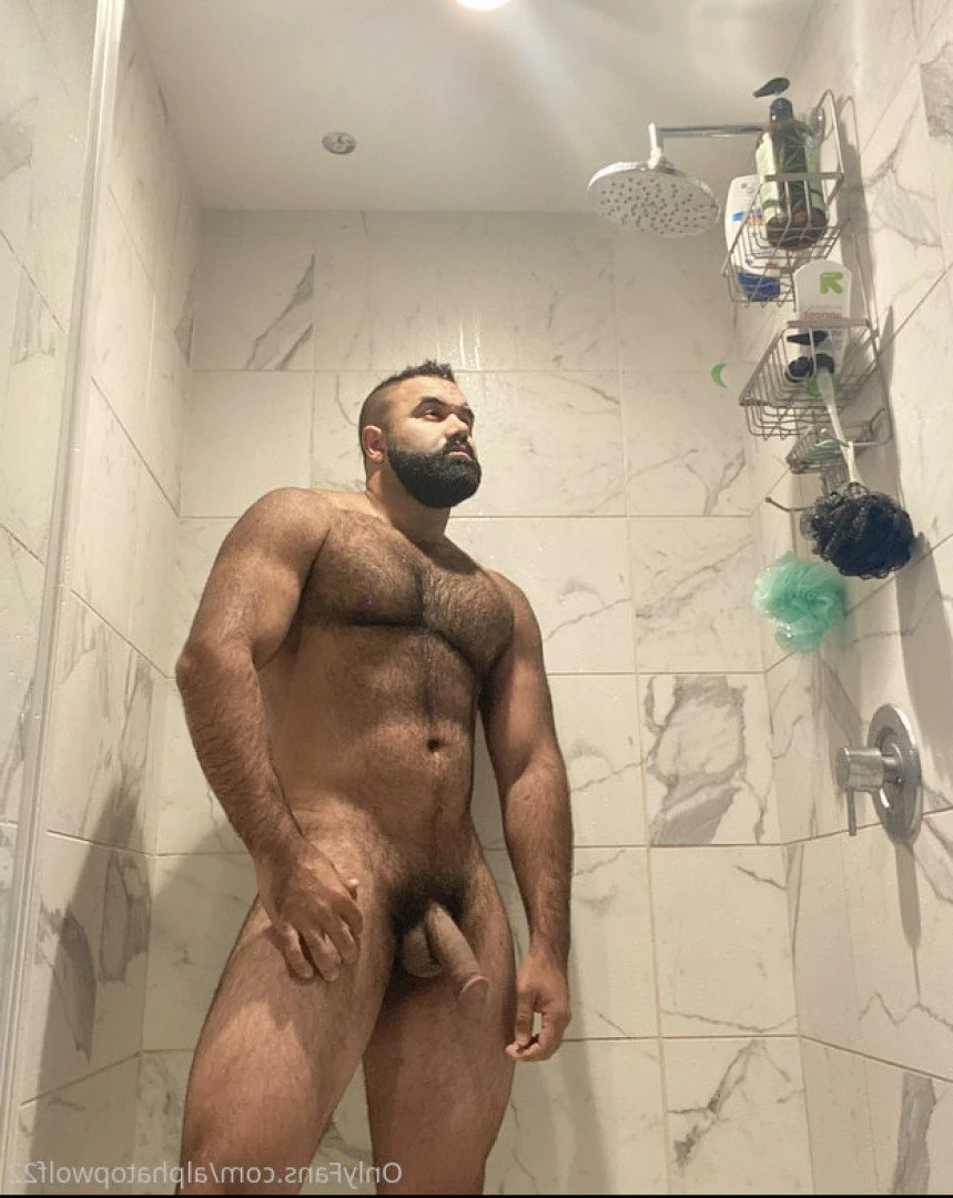 Persian Alpha Wolf [ alphatopwolf22 ] Onlyfans leaked photo 3498220 on Hotleaks.tv