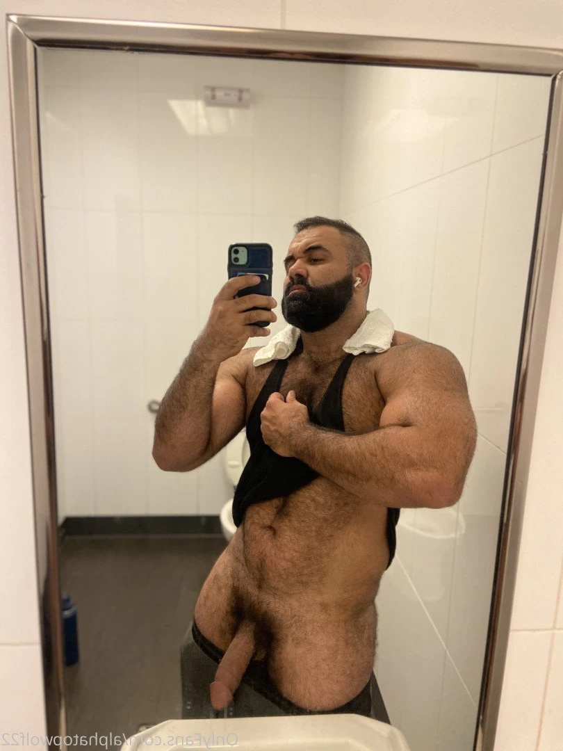 Persian Alpha Wolf [ alphatopwolf22 ] Onlyfans leaked photo 3498249 on Hotleaks.tv