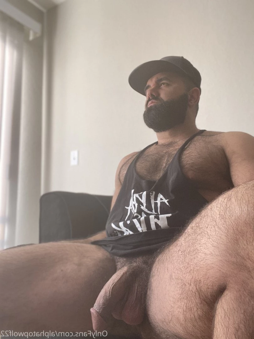 Persian Alpha Wolf [ alphatopwolf22 ] Onlyfans leaked photo 3498297 on Hotleaks.tv