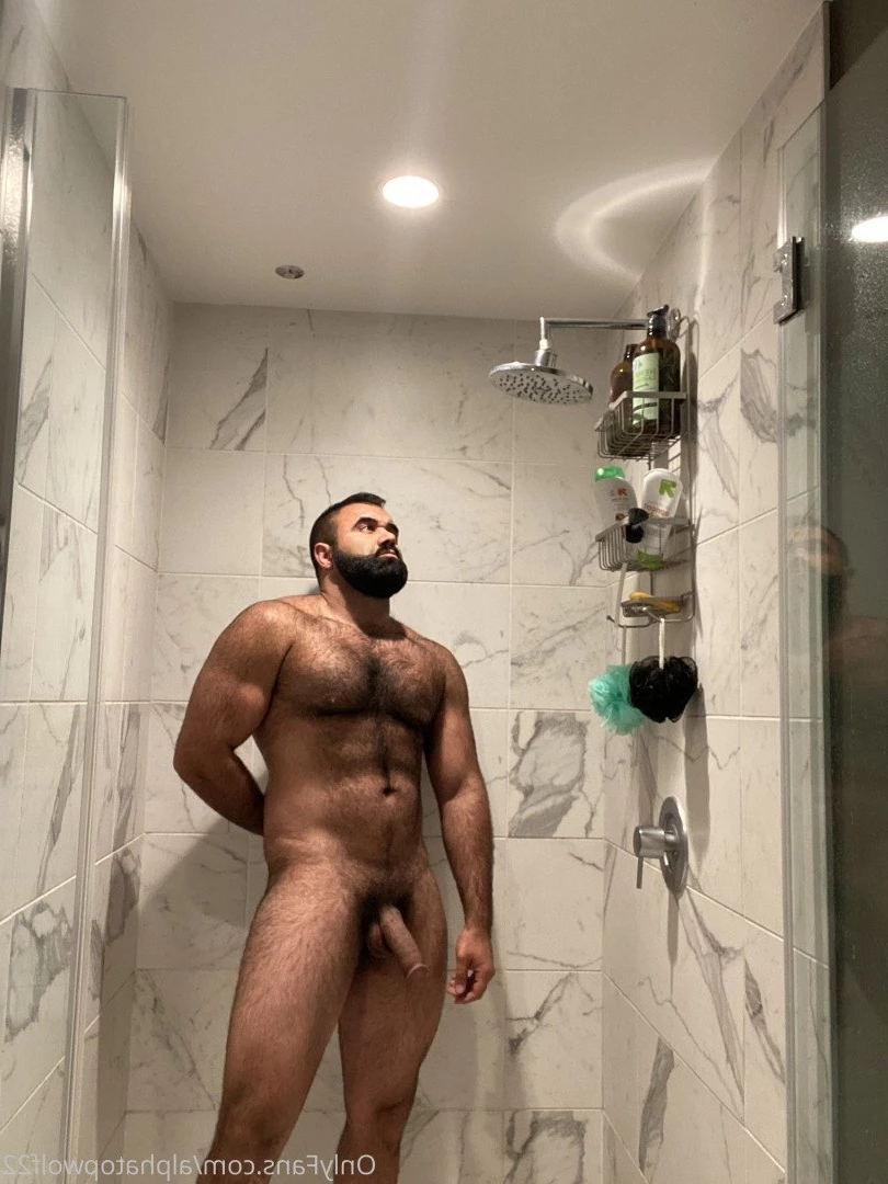 Persian Alpha Wolf [ alphatopwolf22 ] Onlyfans leaked photo 3498363 on Hotleaks.tv