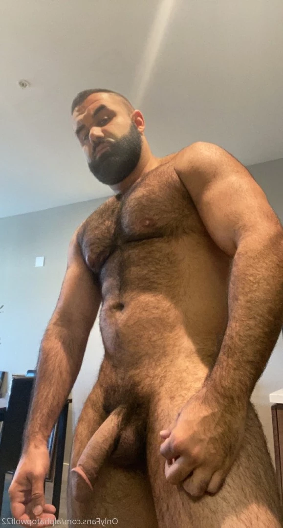 Persian Alpha Wolf [ alphatopwolf22 ] Onlyfans leaked photo 3498511 on Hotleaks.tv