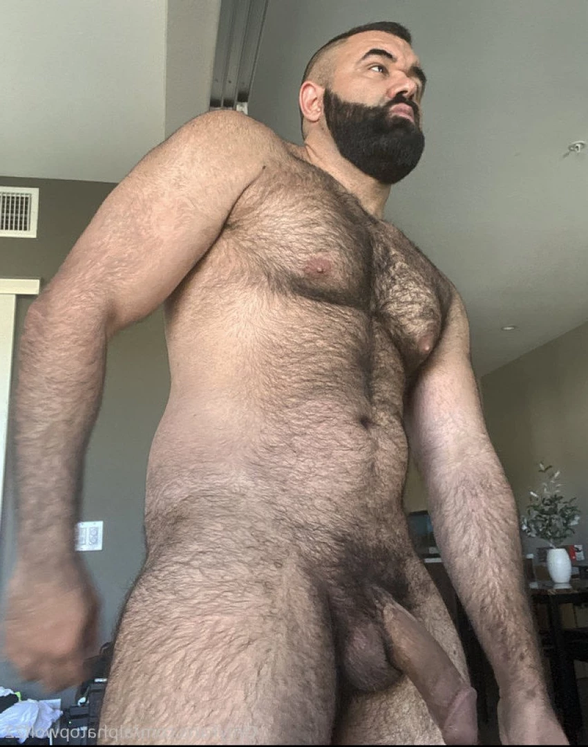 Persian Alpha Wolf [ alphatopwolf22 ] Onlyfans leaked photo 3498535 on Hotleaks.tv