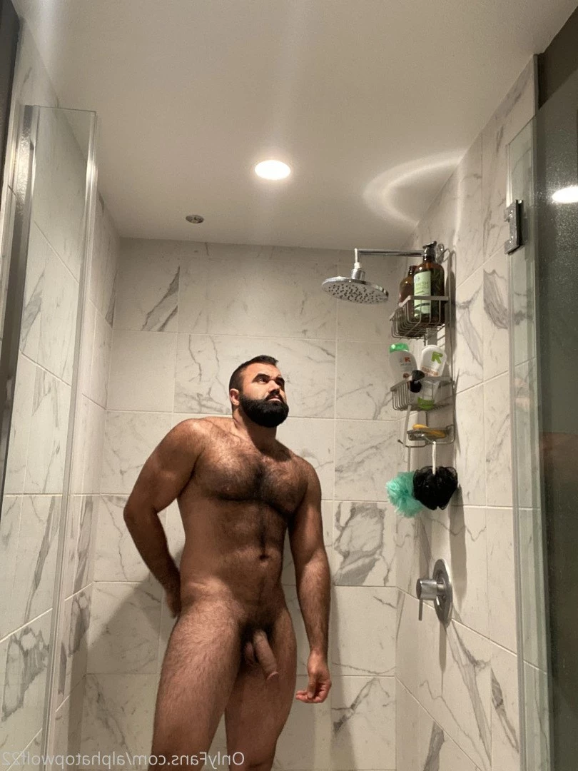 Persian Alpha Wolf [ alphatopwolf22 ] Onlyfans leaked photo 3498679 on Hotleaks.tv