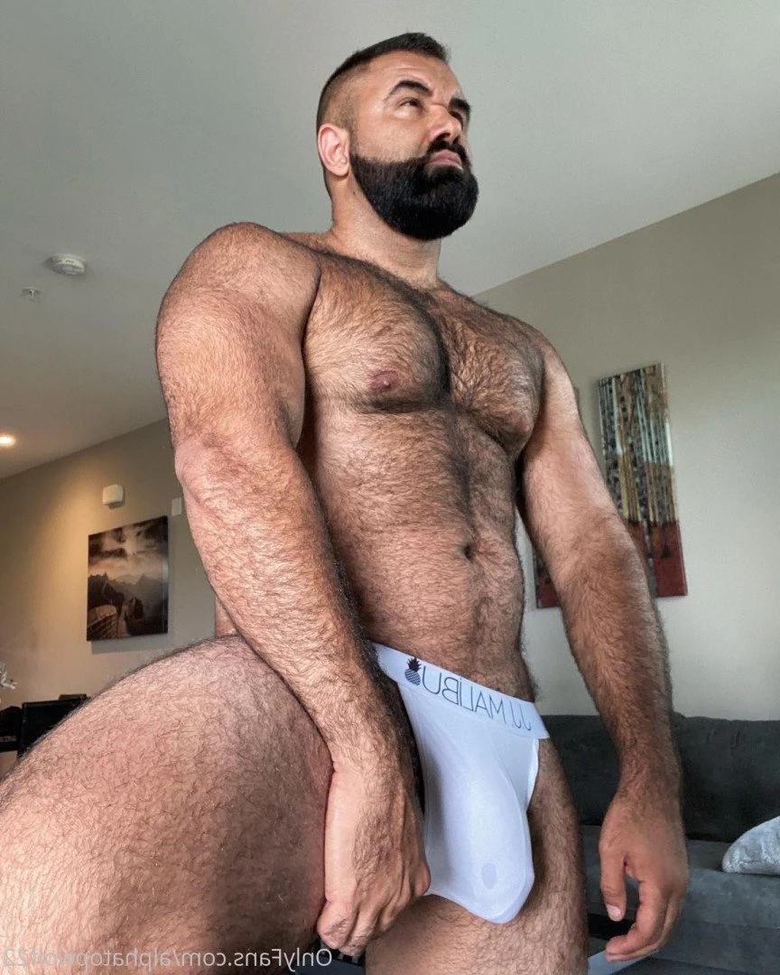 Persian Alpha Wolf [ alphatopwolf22 ] Onlyfans leaked photo 3498736 on Hotleaks.tv