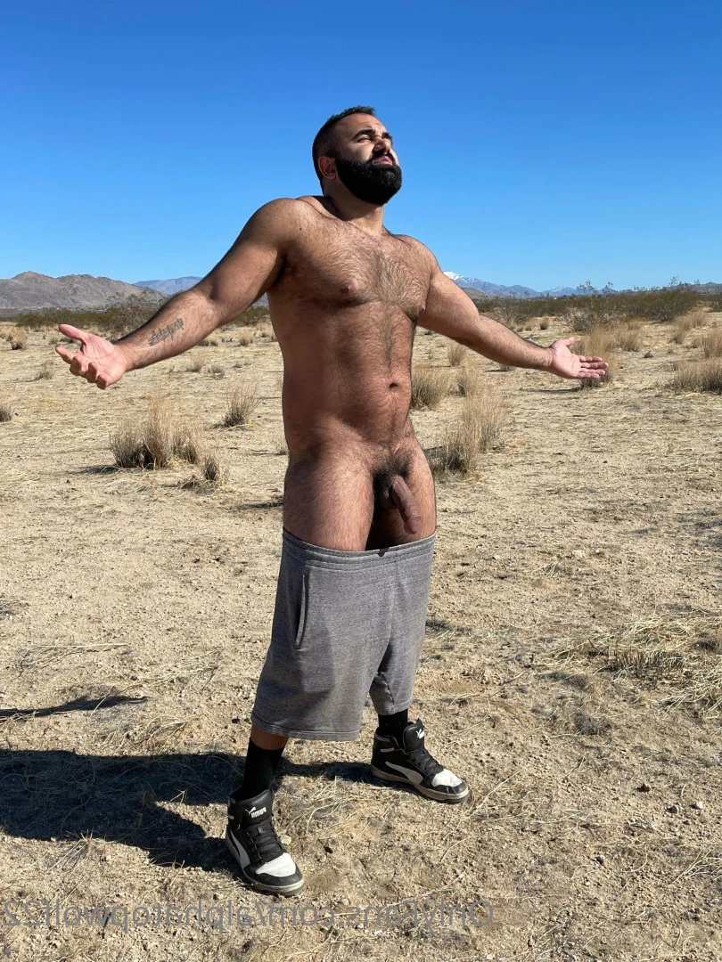 Persian Alpha Wolf [ alphatopwolf22 ] Onlyfans leaked photo 5884513 on Hotleaks.tv