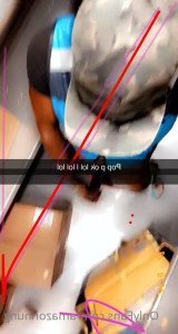 3033481