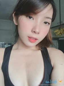 16088364