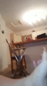 😈Emily😈🟢ONLINE🟢 [ emilynudess ] Onlyfans leaked video 3040169 on Hotleaks.tv