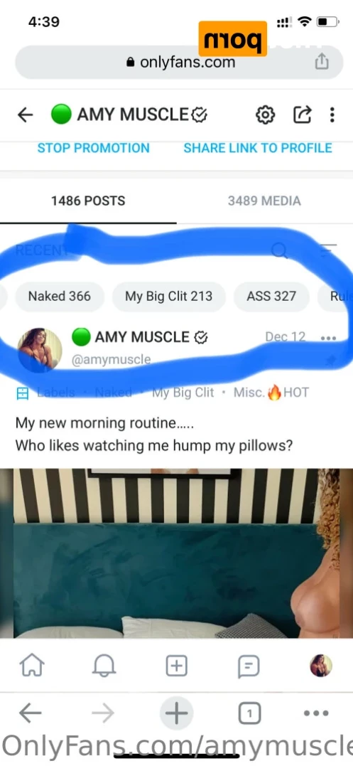 Female Muscle [ amymuscle ] Onlyfans leaked photo 14205554 on Hotleaks.tv