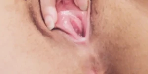 9019341