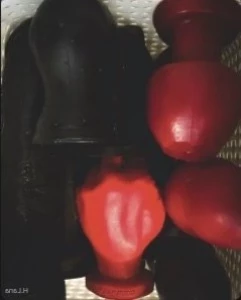 3620591