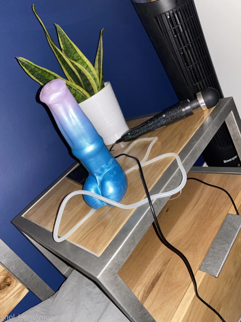 🌸 𝐀𝐍𝐆𝐄𝐋 𝐋𝐎𝐍𝐆 🌸 𝗮𝗹𝘄𝗮𝘆𝘀 𝗶𝗻 𝘁𝗵𝗲 𝗗𝗠’𝘀 [ angel_long ] Onlyfans leaked photo 13098823 on Hotleaks.tv