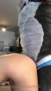 Angel 🖤 [ angel_pups ] Onlyfans leaked video 3046115 on Hotleaks.tv