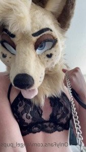 Angel 🖤 [ angel_pups ] Onlyfans leaked video 3046463 on Hotleaks.tv